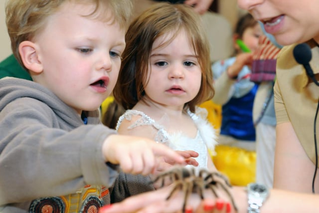 Creepy crawlies and exotic creatures got the attention of these children at the St Peter's Church playgroup 9 years ago.