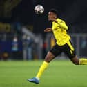 Dan-Axel Zagadou of Borussia Dortmund  (Photo by Lars Baron/Getty Images)