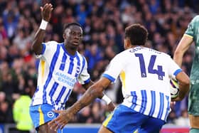 Yankuba Minteh in action for Brighton. 