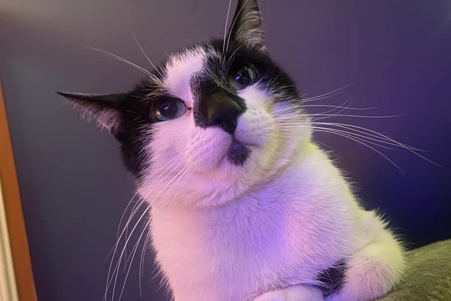 Sir Winston - to give him his full title - looks down on his loyal subjects.