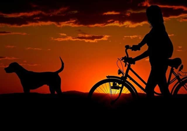 Spending time with your pet is one of the best ways to de-stress