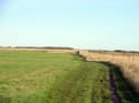 Plans to move the coastal path along Whitburn due to erosion concerns.