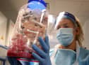 South Tyneside has seen the third highest weekly coronavirus case rate rise in England