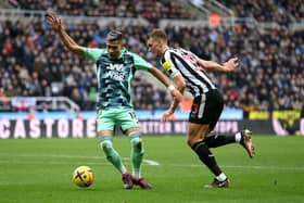 Dermot Gallagher believes the referee made the correct call by not awarding Fuham a penalty following a tug on Andreas Pereira by Dan Burn (Photo by Michael Regan/Getty Images)