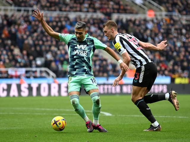 Dermot Gallagher believes the referee made the correct call by not awarding Fuham a penalty following a tug on Andreas Pereira by Dan Burn (Photo by Michael Regan/Getty Images)