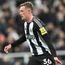 TARGET: Leeds United are interested in Newcastle United's Sean Longstaff but have alternatives in midfield (Image: Stu Forster/Getty Images)