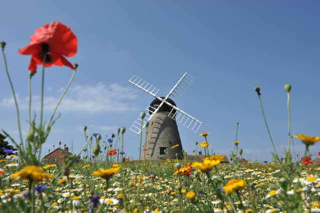 South Tyneside is set for a dry and sunny weekend