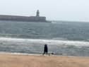Sandhaven Beach is popular with dog walkers, most of which are responsible. But the council has rules in place to allow officers to come down hard on those who aren't.