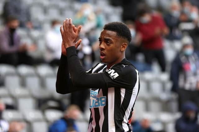 Joe Willock on loan at Newcastle United last season. (Photo by Alex Pantling/Getty Images)