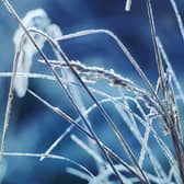 Met Office forecasters have issued a Yellow warning for ice for Monday, January 2.
