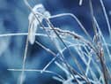 Met Office forecasters have issued a Yellow warning for ice for Monday, January 2.