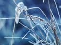 Met Office forecasters have issued a Yellow warning for ice for Monday, January 2.