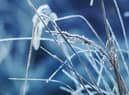 Met Office forecasters have issued a Yellow warning for ice for Monday, January 2.