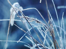 Met Office forecasters have issued a Yellow warning for ice for Monday, January 2.