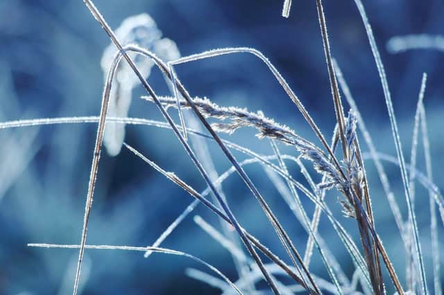 Met Office forecasters have issued a Yellow warning for ice for Monday, January 2.