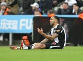 Injury to Callum Wilson against Manchester United means Newcastle are on the hunt for a striker in January (Photo by Ian MacNicol/Getty Images)
