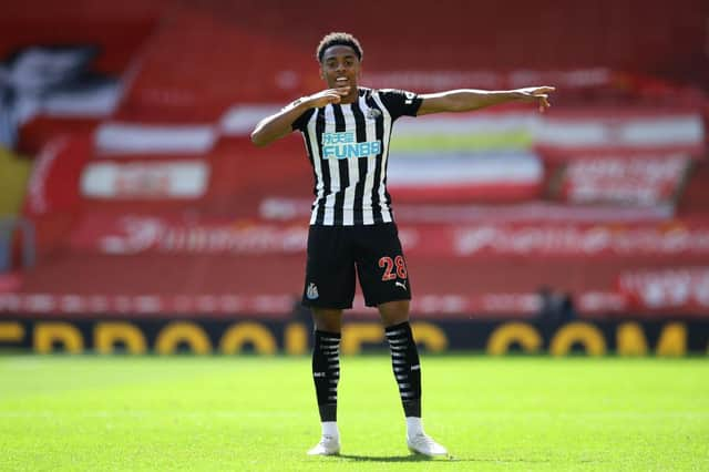 Joe Willock celebrates his goal against Liverpool.