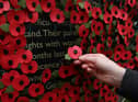 A person holds a poppy as they look at a wall made of 10,000 remembrance poppies following the RBL's Poppy Appeal 2022 (photo: Getty Images)
