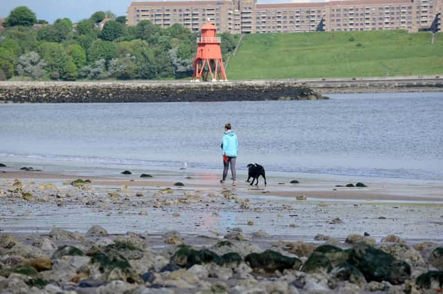 South Tyneside will be part of a series of nature-based projects to help tackle flooding.