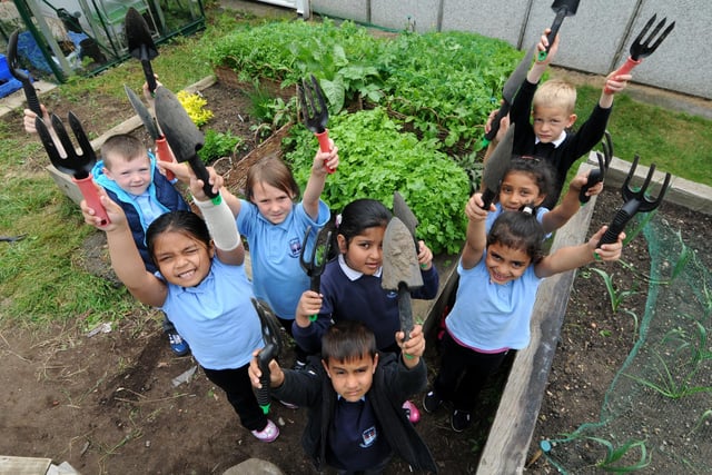 Laygate Primary School pupils were taking part in a gardening scheme in 2013 but can you tell us more.