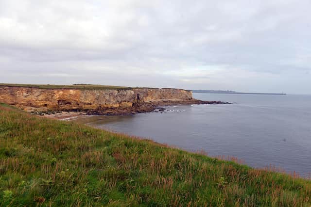 Emergency teams were alerted to a dog having gone over the cliffs at Frenchman's Bay.