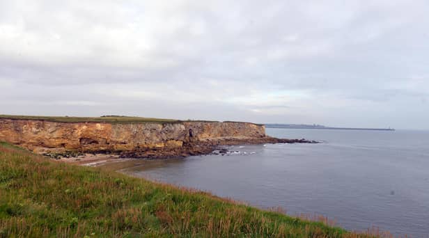 Emergency teams were alerted to a dog having gone over the cliffs at Frenchman's Bay.