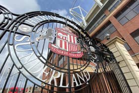 Sunderland have invested in a short-term remedy for their pitch woe