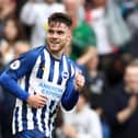 Sunderland striker Aaron Connolly