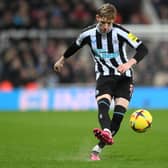 Newcastle United winger Anthony Gordon. (Photo by Stu Forster/Getty Images)
