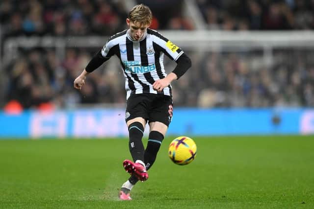 Newcastle United winger Anthony Gordon. (Photo by Stu Forster/Getty Images)