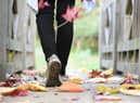 let’s look at the other side of moving. Instead of running, it’s all about walking.