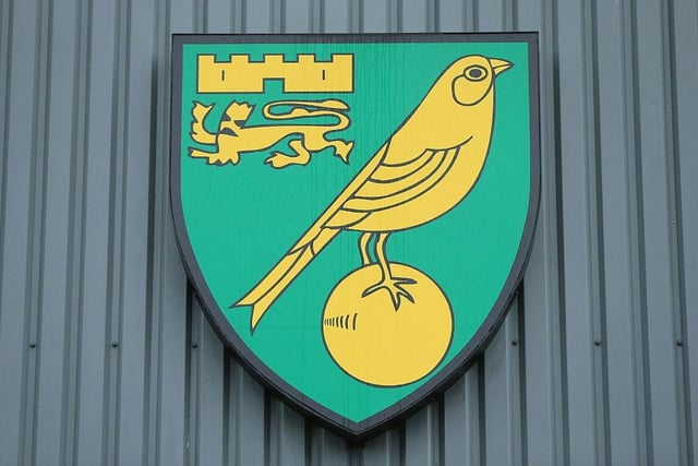 Norwich City can only finish either 19th or 20th this season. Based on last season’s Premier League payments, that would net them between £2,164,350 and £4,328,700 in merit payments.