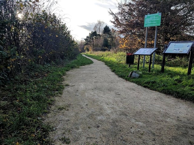 This is our third look at Mansfield's unheralded nature reserves. Maun Valley Park is the largest in the district, covering 17 hectares of protected habitats alongside the river and comprising ancient oak woodland, grassland, trees, shrubs and water meadows. The sandy banks along the river are home to insects and many types of fungi.