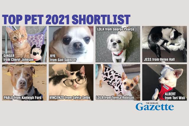 Who'll get your vote to be crowned the Shields Gazette Top Pet champion?