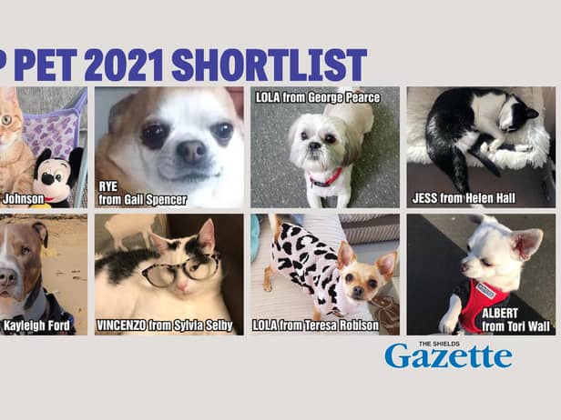 Who'll get your vote to be crowned the Shields Gazette Top Pet champion?