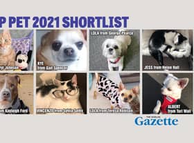 Who'll get your vote to be crowned the Shields Gazette Top Pet champion?