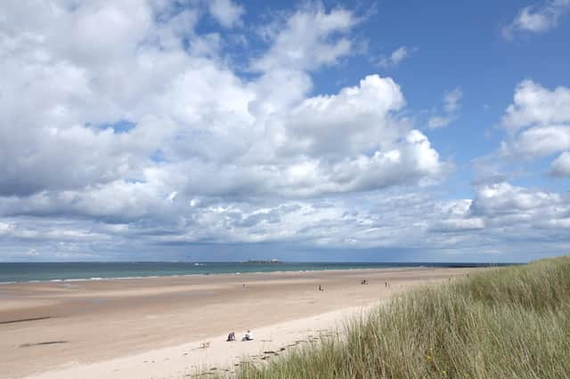     Bamburgh beach
Picture by Jane Coltman                                   