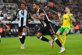 Callum Wilson celebrates after scoring from the penalty spot.