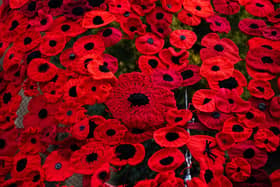 ​A poppy display ahead of Remembrance Day. Photo by Jacob King/PA Wire