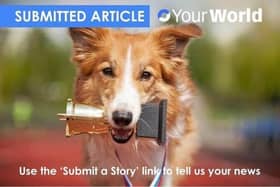 User (UGC) Submitted