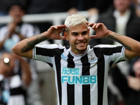 Bruno Guimaraes of Newcastle United celebrates after scoring their team's first goal during the Premier League match between Newcastle United and Brentford FC at St. James Park on October 08, 2022 in Newcastle upon Tyne, England. (Photo by Ian MacNicol/Getty Images)