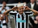 Bruno Guimaraes of Newcastle United celebrates after scoring their team's first goal during the Premier League match between Newcastle United and Brentford FC at St. James Park on October 08, 2022 in Newcastle upon Tyne, England. (Photo by Ian MacNicol/Getty Images)