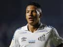 Angelo of Santos looks on during the match between Santos and Flamengo as part of Brasileirao Series A 2022 at Vila Belmiro Stadium on July 02, 2022 in Santos, Brazil. (Photo by Ricardo Moreira/Getty Images)