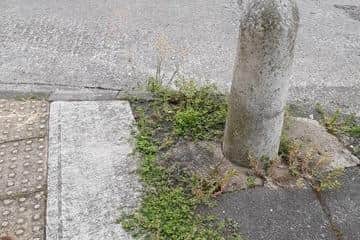 Concerns have been raised about overgrown weeds in Ashbourne Road.