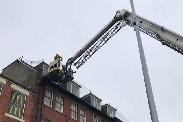 Firefighters free the trapped seagull