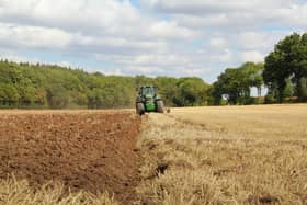 Farming photo by Richard Bell on Unsplash