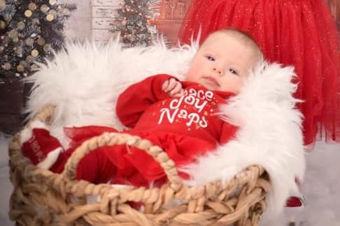 Twelve-week-old Arabella. Picture: Georgia Lucas