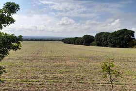 The land is presently used as a wheat farm covering almost six hectares, which is 60,000 square metres, or nine full-size football pitches.