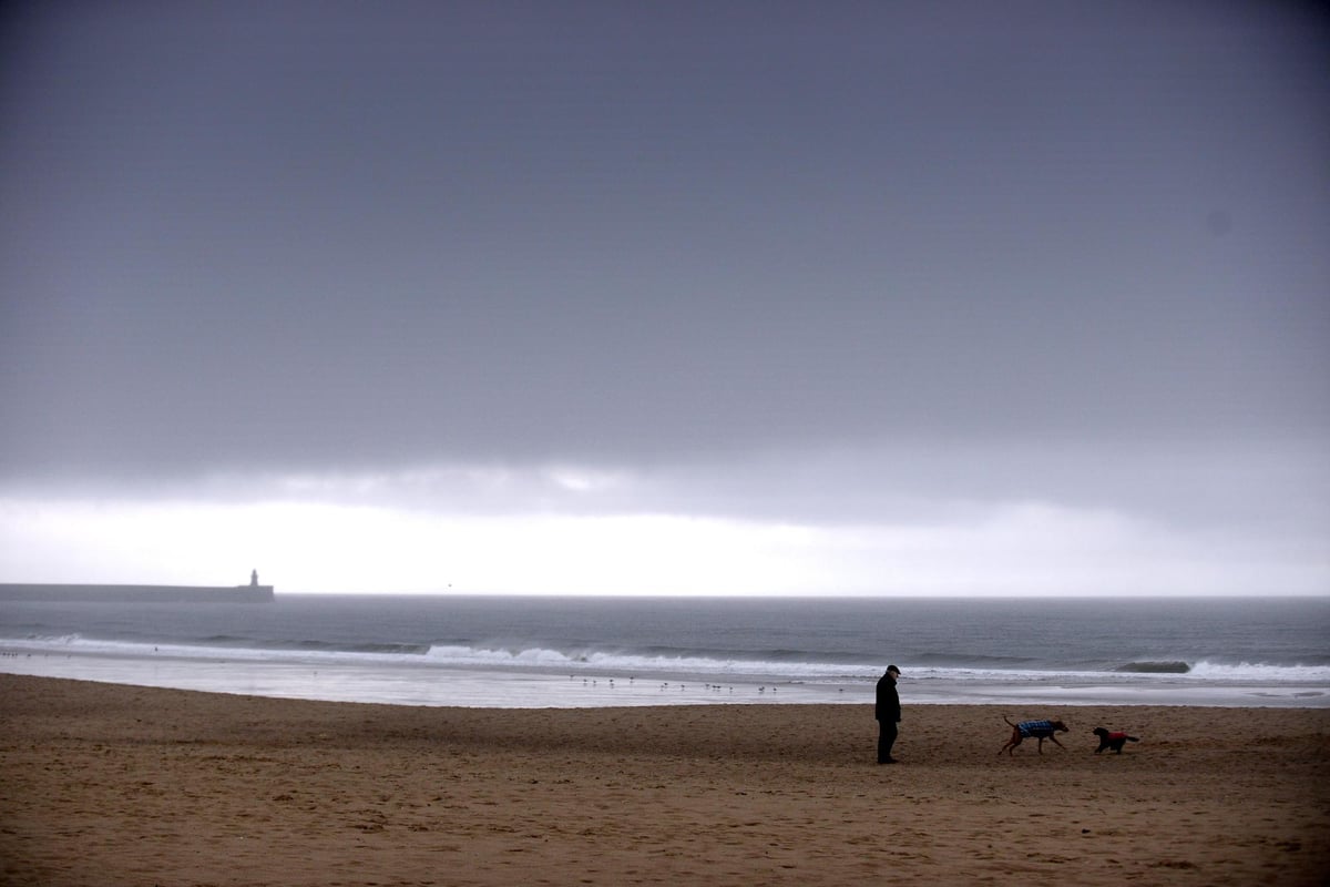 Weather: Met Office Forecast Predicting Cold Start to Week Won't Last