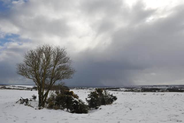 The Met Office say there could be snow in the early hours.